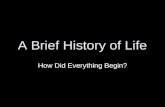 A Brief History of Life How Did Everything Begin?.