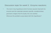 Discussion topic for week 5 : Enzyme reactions The lock in key hypothesis (Emil Fischer) asserts that both the enzyme and the substrate possess specific.