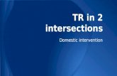 Domestic intervention TR in 2 intersections. CSI: Buffalo.