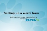 Setting up a worm farm Using worms to turn waste into a resource.