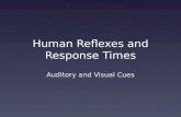 Human Reflexes and Response Times Auditory and Visual Cues.