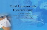 Total Laparoscopic Hysterectomy Andrew Doering Minimally Invasive Surgery Lab University of Kentucky.