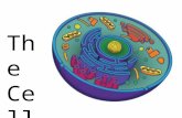 The Cell. What is a Prokaryote? Prokaryote ?  NO Nucleus or membrane bound organelles.  “Pro” = “No Nucleus”  A single celled organism  DOES have.