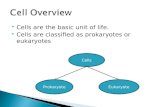Cells are the basic unit of life.  Cells are classified as prokaryotes or eukaryotes Cells ProkaryoteEukaryote.