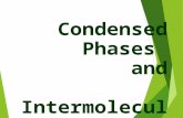 Condensed Phases and Intermolecular Forces. Fundamentals  How do particle diagrams of liquids & solids compare to those of gases?