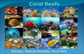 Threats, Human Benefits, Food Web. What are corals? Plants or animals? Plants make their own food Animals depend on outside sources for their nutritional.