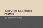 Service Learning Profile by Jasmine Badr. About my site I work at the Suisun Wildlife Rescue Center. It houses a variety of wildlife, like eagles, hawks,