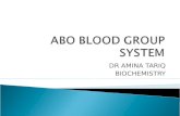 DR AMINA TARIQ BIOCHEMISTRY.  The ABO blood group system is the most important blood type system (or blood group system) in human blood transfusion.blood.