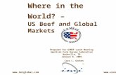 Where in the World? – US Beef and Global Markets Prepared for USMEF Lunch Meeting American Farm Bureau Federation Nashville, TN January 8, 2006 Cara L.