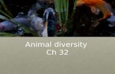 Animal diversity Ch 32. Overview: Welcome to Your Kingdom The animal kingdom extends far beyond humans and other animals we may encounterThe animal kingdom.