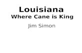 Louisiana Where Cane is King Jim Simon. Frank Martin Farms --1982.