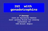 IUI with gonadotrophins P Devroey Centre for Reproductive Medicine Dutch - speaking Brussels Free University Laarbeeklaan 101 1090 Brussels Belgium.