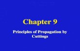 Chapter 9 Principles of Propagation by Cuttings. Biology of Propagation by Cuttings Labor costs = up to 80% of cost of propagationLabor costs = up to.