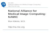 NA-MIC National Alliance for Medical Image Computing  National Alliance for Medical Image Computing: NAMIC Ron Kikinis, M.D. .