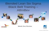 Blended Lean Six Sigma Black Belt Training – ABInBev Week One Review ©2010 ASQ. All Rights Reserved.
