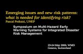 Emerging issues and new risk patterns: what is needed for identifying risk? Pascal Peduzzi, UNEP Symposium on Multi-Hazard Early Warning Systems for Integrated.