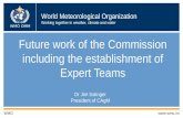 World Meteorological Organization Working together in weather, climate and water WMO OMM WMO  Future work of the Commission including the establishment.