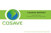 COSAVE REPORT 24º Technical Consultation among ORPF, August 2012 María Inés Ares President of Directive Committee.
