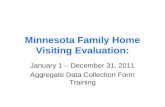 Minnesota Family Home Visiting Evaluation: January 1 – December 31, 2011 Aggregate Data Collection Form Training.