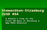 Stewardson-Strasburg CUSD #5A A Rookie’s View to the First 60 Days of Becoming a New PBIS District.