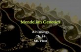 Mendelian Genetics AP Biology Ch. 14 Ms. Haut. Pre-Mendelian Theory of Heredity Blending Theory —hereditary material from each parent mixes in the offspring.