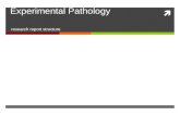 Experimental Pathology research report structure.
