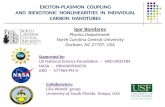 EXCITON-PLASMON COUPLING AND BIEXCITONIC NONLINEARITIES IN INDIVIDUAL CARBON NANOTUBES Igor Bondarev Physics Department North Carolina Central University.