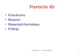 Particle ID Tony Weidberg1 Particle ID Electrons Muons Beauty/charm/tau Pi/K/p.