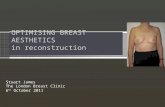 OPTIMISING BREAST AESTHETICS in reconstruction Stuart James The London Breast Clinic 6 th October 2011.