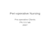 Peri-operative Nursing Pre-operative Clients PN 111 lab 2007.