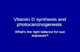 Vitamin D synthesis and photocarcinogenesis What’s the right balance for sun exposure?