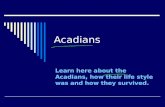 Acadians Learn here about the Acadians, how their life style was and how they survived.