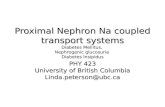 Proximal Nephron Na coupled transport systems Diabetes Mellitus, Nephrogenic glucosuria Diabetes Insipidus PHY 423 University of British Columbia Linda.peterson@ubc.ca.