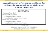 Jun 29, 20111/13 Investigation of storage options for scientific computing on Grid and Cloud facilities Jun 29, 2011 Gabriele Garzoglio & Ted Hesselroth.