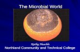 The Microbial World Kathy Huschle Northland Community and Technical College.