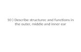 10 ) Describe structurec and functions in the outer, middle and inner ear.