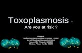 Toxoplasmosis - Are you at risk ? Group 4 Stefen Noristan Kurniawan Kosmas 128862 Nurrul Shaqinah Nasruddin 132040 Nor Aini Bt. Warzukni 134453 Melissa.
