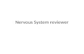Nervous System reviewer. Classify the following: Write A- central nervous system B- peripheral nervous system C- autonomic nervous system 1.carries all.