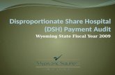 Wyoming State Fiscal Year 2009. Training Overview DSH Review, Federal Regulation Recap of Prior Year Audits (SFY 2008) Review SFY 2009 Medicaid DSH Audit.
