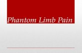 Phantom Limb Pain. Learning Targets: Discuss and analyze the occurrence of phantom limb phenomenon Analyze the theories that explain phantom limb pain.