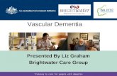 Training to care for people with dementia Vascular Dementia Presented By Liz Graham Brightwater Care Group.