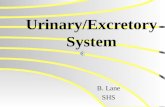Urinary/Excretory System B. Lane SHS. Objectives Explain the function of the excretory organs Describe the structure and function of the organs in the.