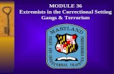 MODULE 36 Extremists in the Correctional Setting Gangs & Terrorism.