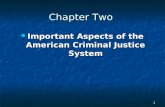 1 Chapter Two Important Aspects of the American Criminal Justice System Important Aspects of the American Criminal Justice System.