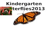 Kindergarten Butterf lies2013. This is a butterfly. Nici Alcaraz.