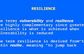 RESILIENCE The terms vulnerability and resilience are highly complementary since greater resilience is what is achieved when vulnerability is reduced The.