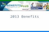 2013 Benefits. Disclaimer This document is intended to be a high-level overview. The terms and conditions of the benefits described are determined solely.