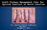 Draft Fishery Management Plan for Spotted Seatrout in North Carolina N.C. Marine Fisheries Commission New Bern November 4, 2010.