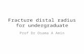Fracture distal radius for undergraduate Prof Dr Osama A Amin.