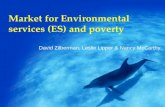 Market for Environmental services (ES) and poverty David Zilberman, Leslie Lipper & Nancy McCarthy.
